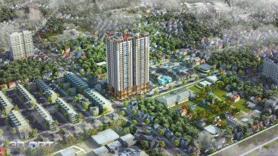 Dự án PCC1 Thanh Xuân