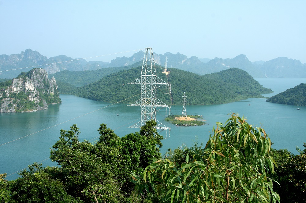 PCC1 reached the TOP 50 best listed enterprises in Vietnam in 2020