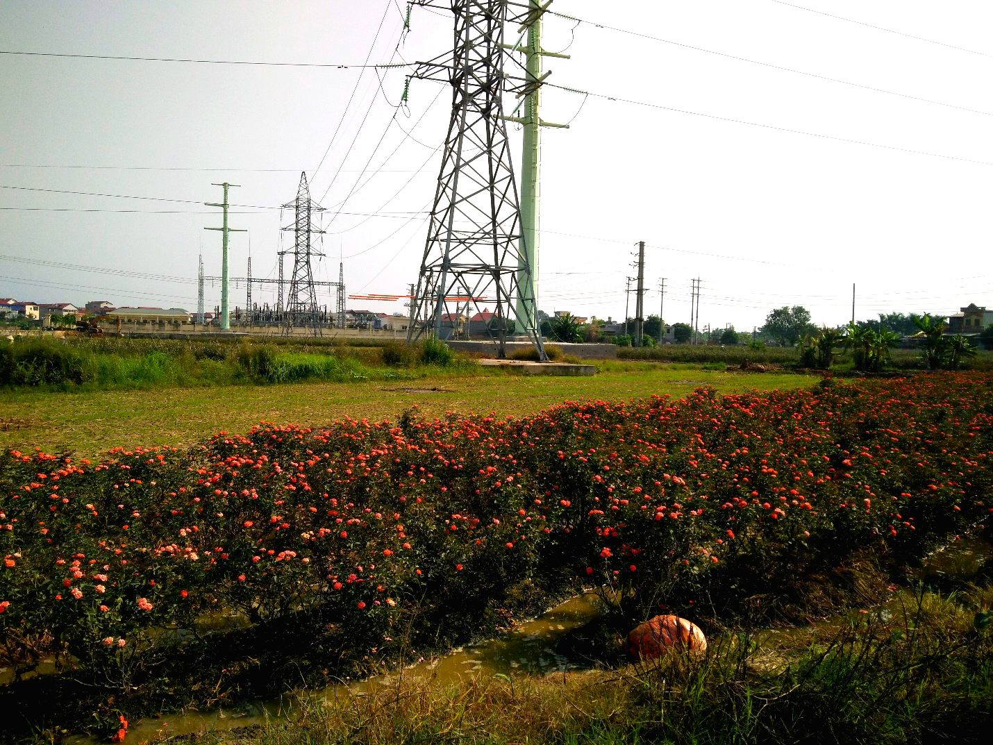 PCC1: Hoàn thành xây dựng và đóng điện đường dây 110kV mạch 2 Vân Trì – Quang Minh.